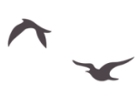 https://gyyey.wxlxjy.com/contents/sitefiles2039/10199337/images/30211766.png