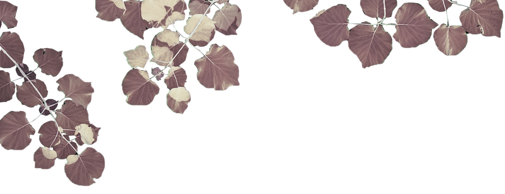 https://gyyey.wxlxjy.com/contents/sitefiles2039/10199337/images/30211773.png