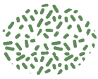 https://gyyey.wxlxjy.com/contents/sitefiles2039/10199337/images/30751040.png