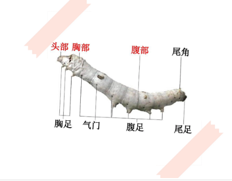 https://gyyey.wxlxjy.com/contents/sitefiles2039/10199337/images/30751570.png
