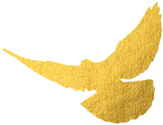 https://gyyey.wxlxjy.com/contents/sitefiles2039/10199337/images/30752811.png