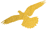 https://gyyey.wxlxjy.com/contents/sitefiles2039/10199337/images/30752819.png