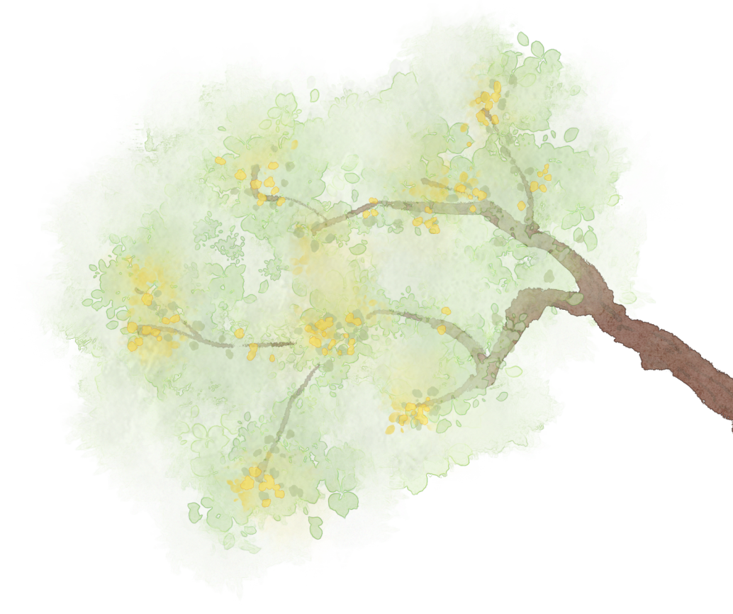 https://gyyey.wxlxjy.com/contents/sitefiles2039/10199337/images/30753902.png