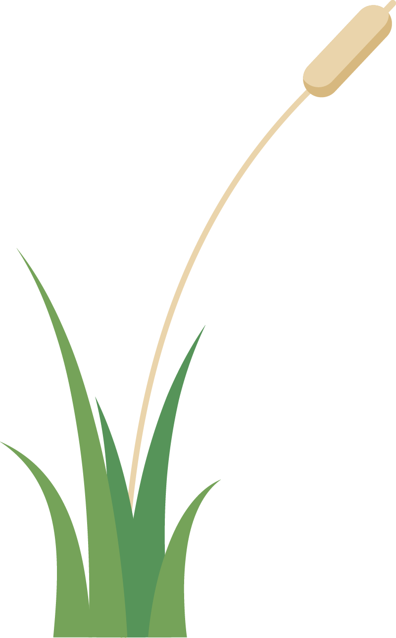 https://gyyey.wxlxjy.com/contents/sitefiles2039/10199337/images/30755172.png
