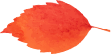 https://gyyey.wxlxjy.com/contents/sitefiles2039/10199337/images/39519006.png