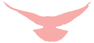 https://gyyey.wxlxjy.com/contents/sitefiles2039/10199337/images/39519103.png