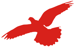 https://gyyey.wxlxjy.com/contents/sitefiles2039/10199337/images/43925819.png