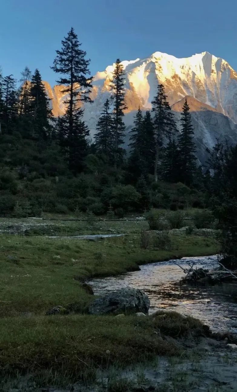 https://gyyey.wxlxjy.com/contents/sitefiles2039/10199337/images/43925833.jpeg