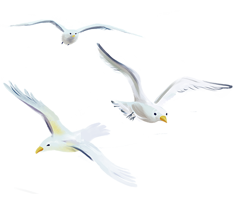 https://gyyey.wxlxjy.com/contents/sitefiles2039/10199337/images/46955150.png