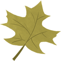 https://gyyey.wxlxjy.com/contents/sitefiles2039/10199337/images/46960552.png