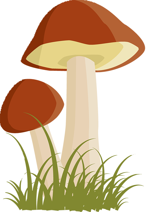 https://gyyey.wxlxjy.com/contents/sitefiles2039/10199337/images/46960858.png