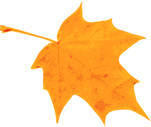 https://gyyey.wxlxjy.com/contents/sitefiles2039/10199337/images/46961343.png
