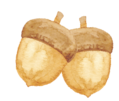 https://gyyey.wxlxjy.com/contents/sitefiles2039/10199337/images/46961475.png