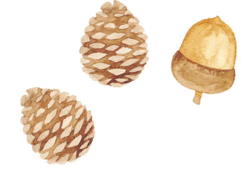 https://gyyey.wxlxjy.com/contents/sitefiles2039/10199337/images/46961476.png