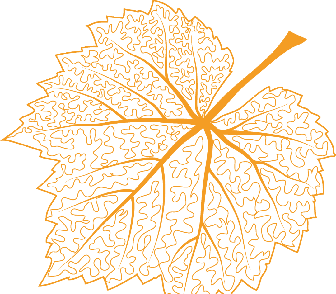 https://gyyey.wxlxjy.com/contents/sitefiles2039/10199337/images/46961478.png