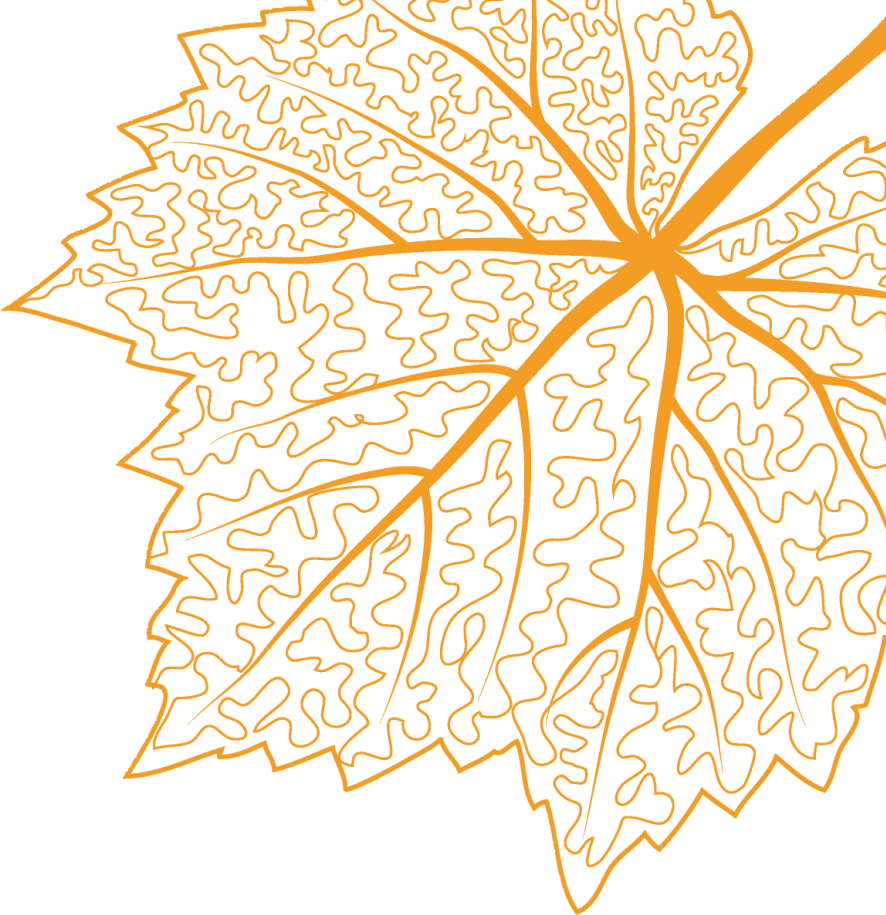 https://gyyey.wxlxjy.com/contents/sitefiles2039/10199337/images/46961479.png