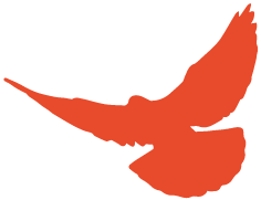 https://gyyey.wxlxjy.com/contents/sitefiles2039/10199337/images/46972488.png