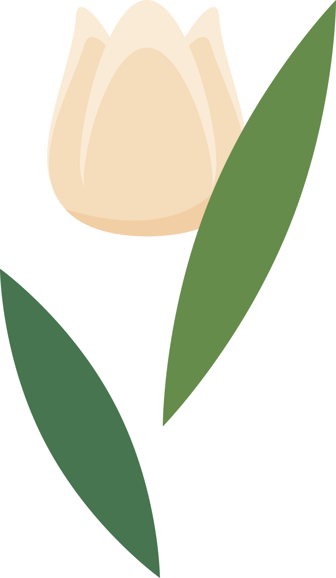 https://gyyey.wxlxjy.com/contents/sitefiles2039/10199337/images/46973317.png