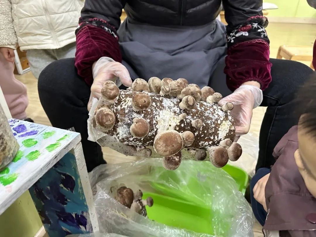 https://gyyey.wxlxjy.com/contents/sitefiles2039/10199337/images/48314579.jpeg
