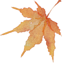 https://gyyey.wxlxjy.com/contents/sitefiles2039/10199337/images/49181685.png
