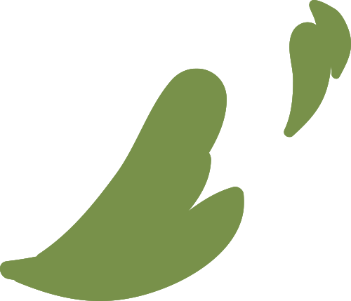 https://gyyey.wxlxjy.com/contents/sitefiles2039/10199337/images/50667643.png