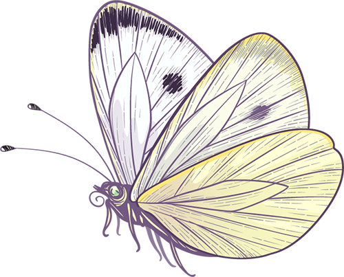 https://gyyey.wxlxjy.com/contents/sitefiles2039/10199337/images/52339817.png