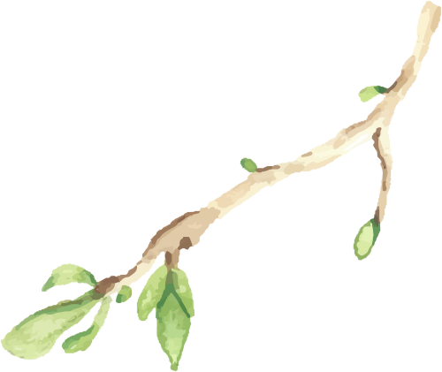 https://gyyey.wxlxjy.com/contents/sitefiles2039/10199337/images/52785396.png