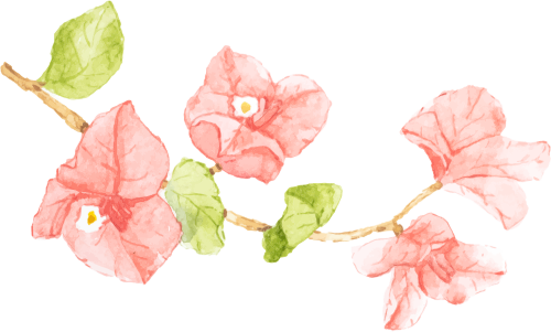 https://gyyey.wxlxjy.com/contents/sitefiles2039/10199337/images/52785399.png