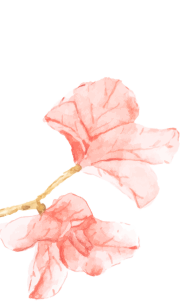 https://gyyey.wxlxjy.com/contents/sitefiles2039/10199337/images/52785414.png