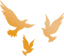 https://gyyey.wxlxjy.com/contents/sitefiles2039/10199337/images/53663490.png