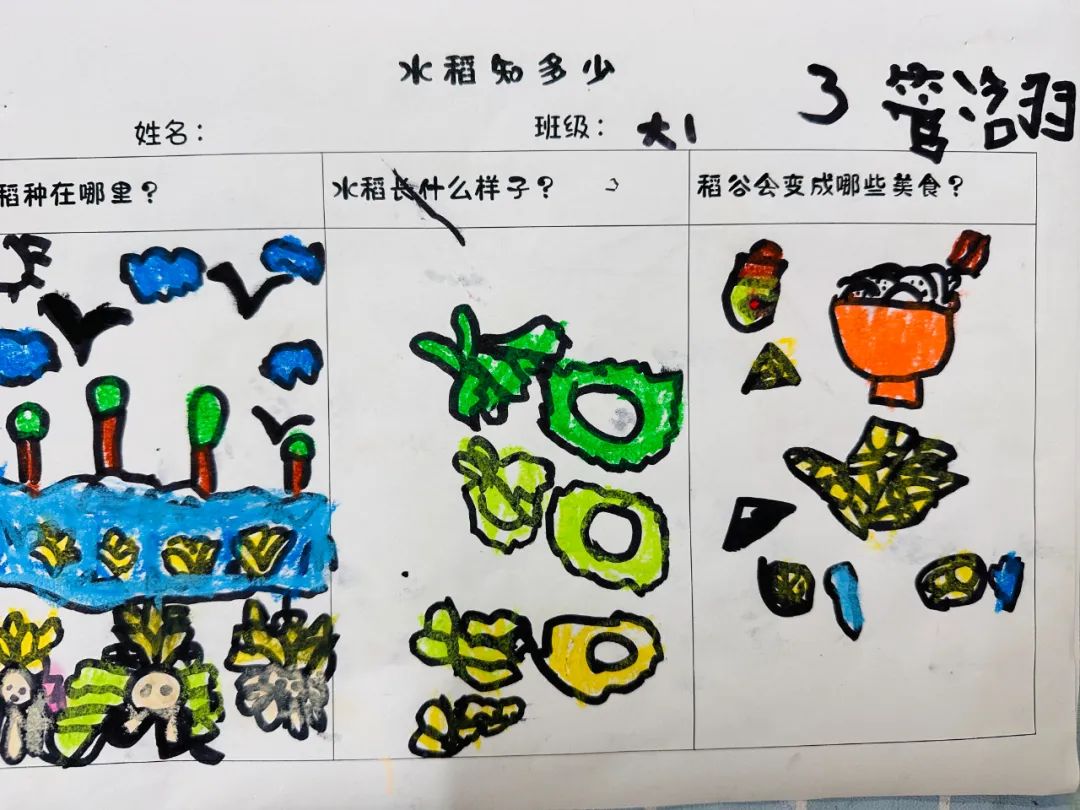 https://gyyey.wxlxjy.com/contents/sitefiles2039/10199337/images/53664175.jpeg