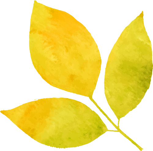 https://gyyey.wxlxjy.com/contents/sitefiles2039/10199337/images/53664263.png