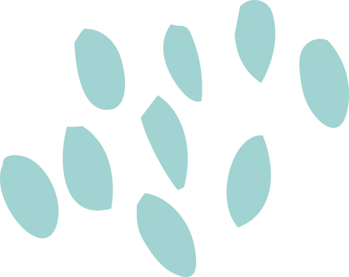 https://gyyey.wxlxjy.com/contents/sitefiles2039/10199337/images/53664489.png
