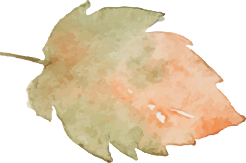https://gyyey.wxlxjy.com/contents/sitefiles2039/10199337/images/53664491.png