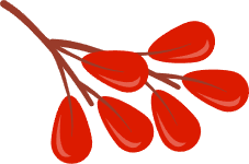 https://gyyey.wxlxjy.com/contents/sitefiles2039/10199337/images/55225928.png