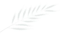 https://gyyey.wxlxjy.com/contents/sitefiles2039/10199337/images/55227647.gif